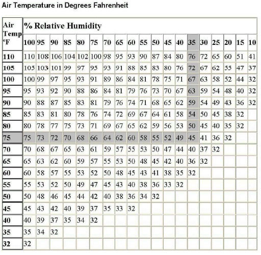 Dew Point Chart