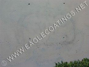 Wall coated with Fabrishield