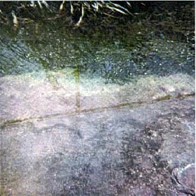 INNER SEAL - Sidewalk