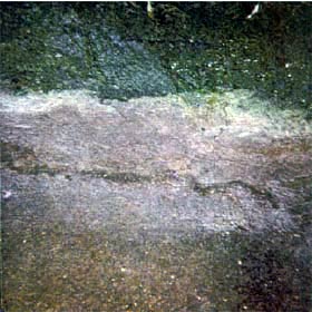 INNER SEAL - Sidewalk