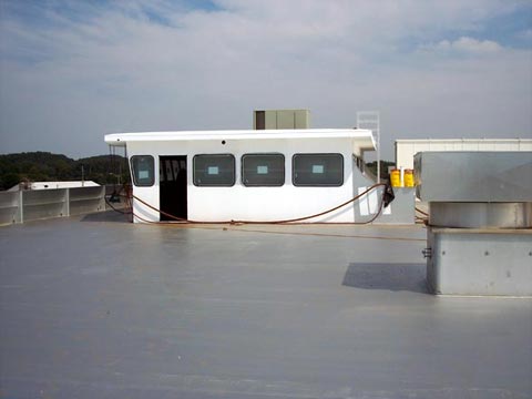 RUST GRIP- Casino Ship