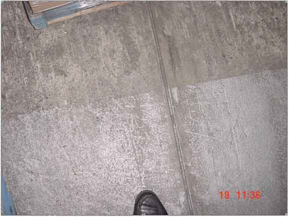 Flooring 6 years old