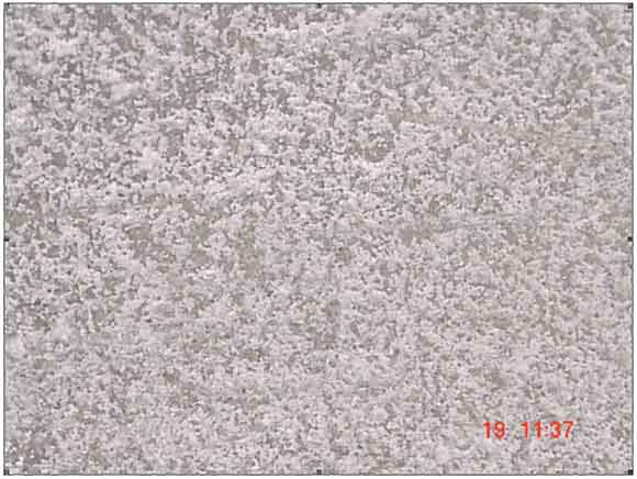 Flooring 6 years old