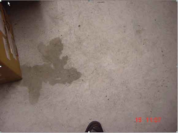 Picture history of RUST GRIP in Australia
